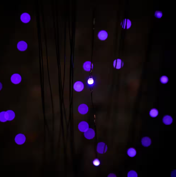 Home Accents Holiday 7 ft. Plug-In LED Color-Changing Willow Tree - $75