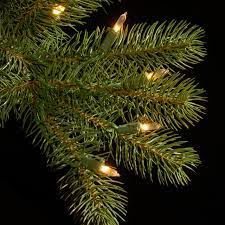 National Tree Company 6.5 ft. Downswept Douglas Slim Fir Tree with Clear Lights - $185