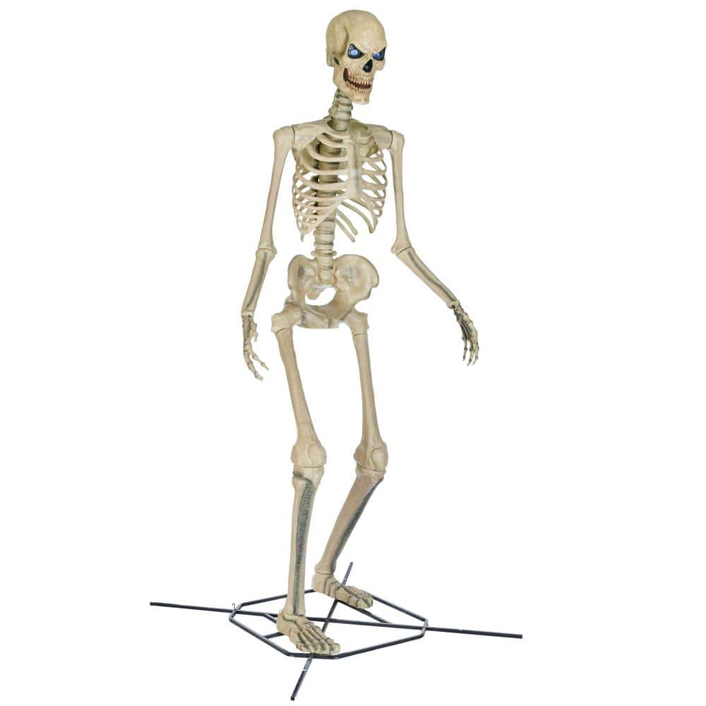 Home Accents Holiday Standard Skelly Scary Head - $60