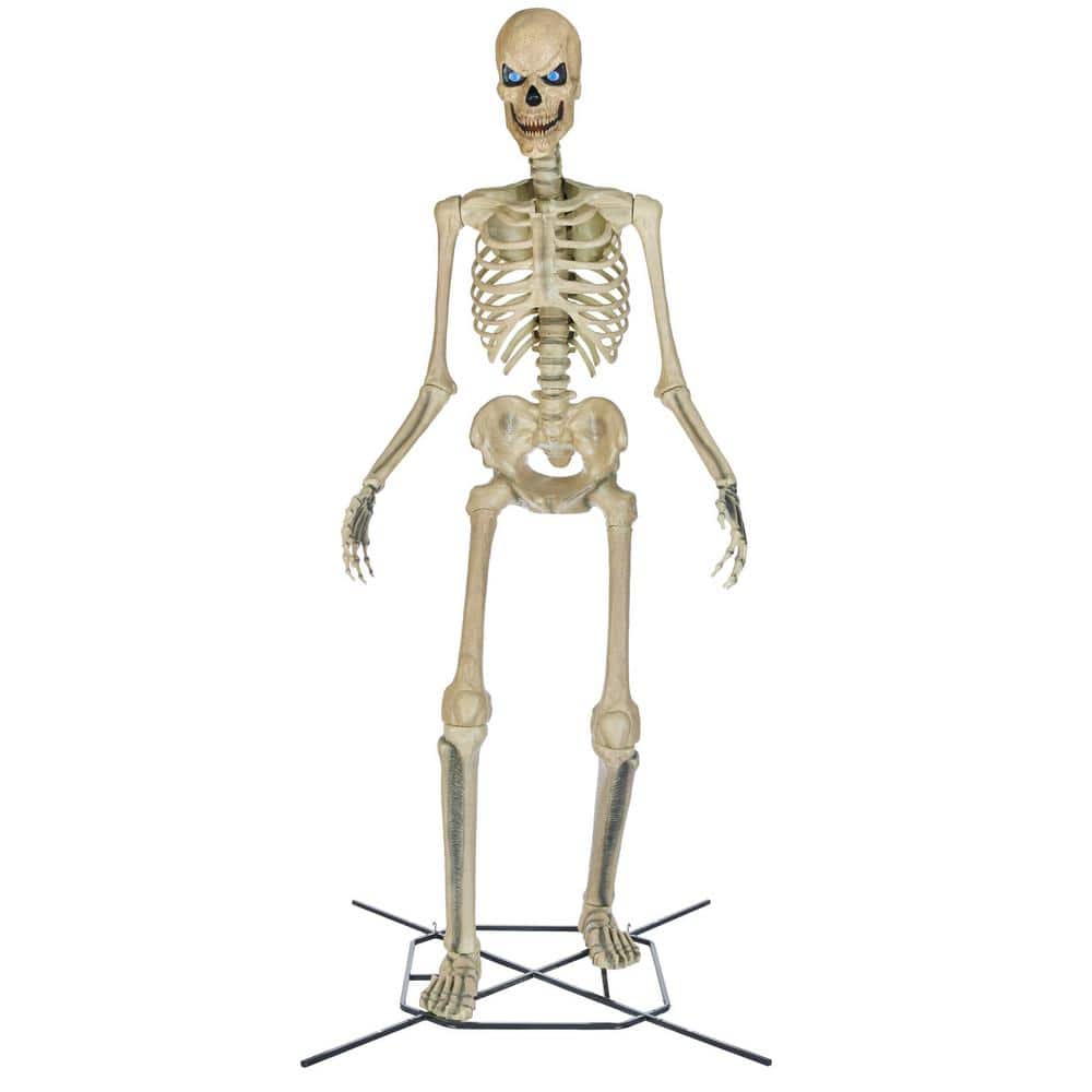 Home Accents Holiday Standard Skelly Scary Head - $60