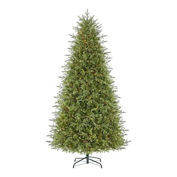 Home Decorators Collection 9 ft Grand Duchess Balsam Fir - $950
