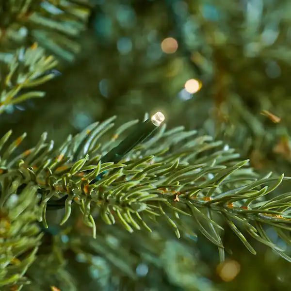 Home Decorators Collection 9 ft Grand Duchess Balsam Fir - $950