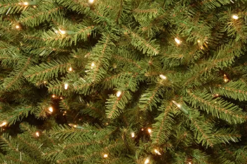 National Tree Company 9 ft. Dunhill Fir Artificial Christmas Tree, Dual Color Lights - $375