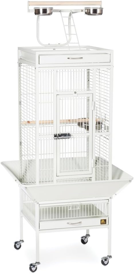 Prevue Hendryx 3151C Pet Products Wrought Iron Select Bird Cage, 18'' x 18'' x 57'' - $110