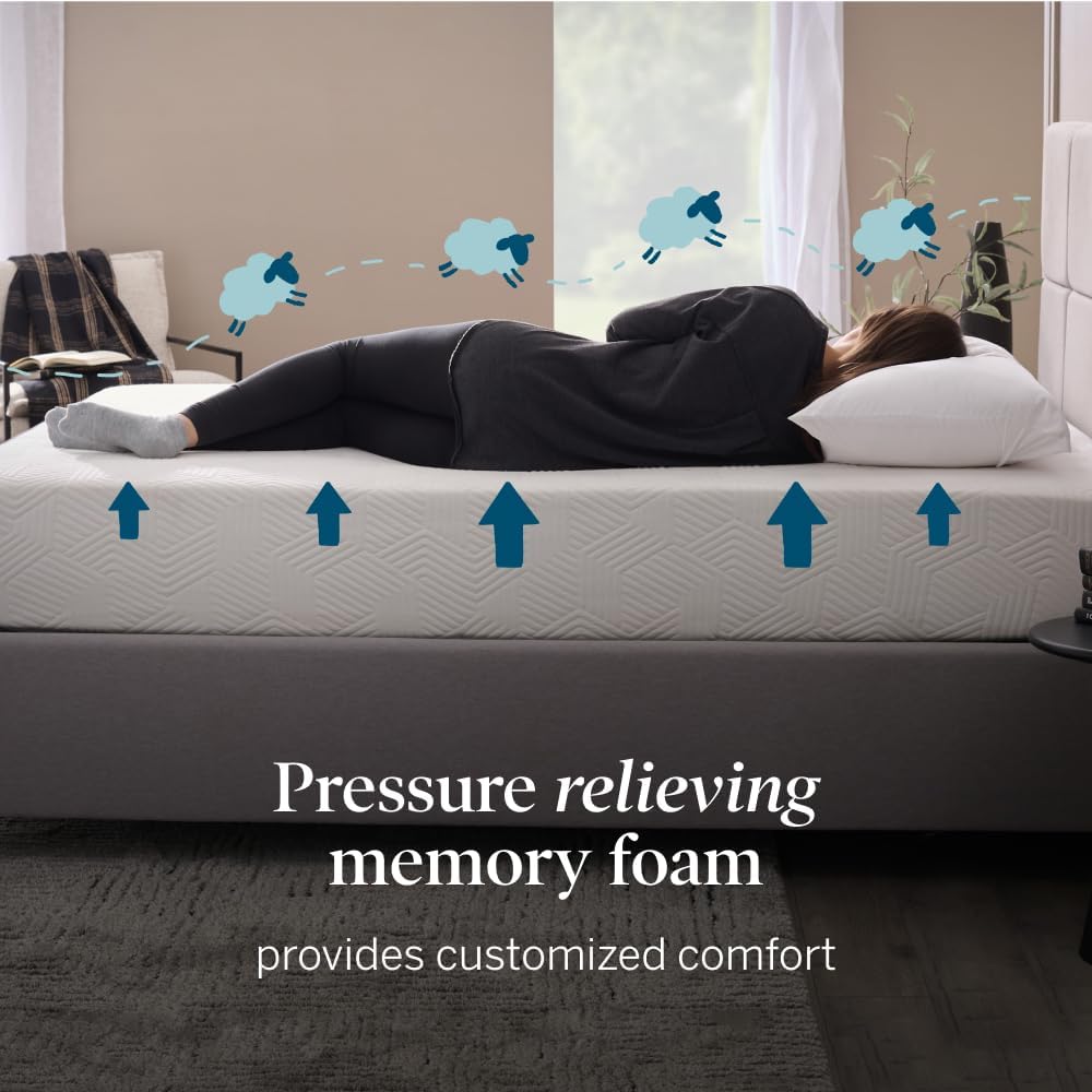 LUCID 10 Inch Memory Foam Mattress - Medium Feel - Queen Size - $205