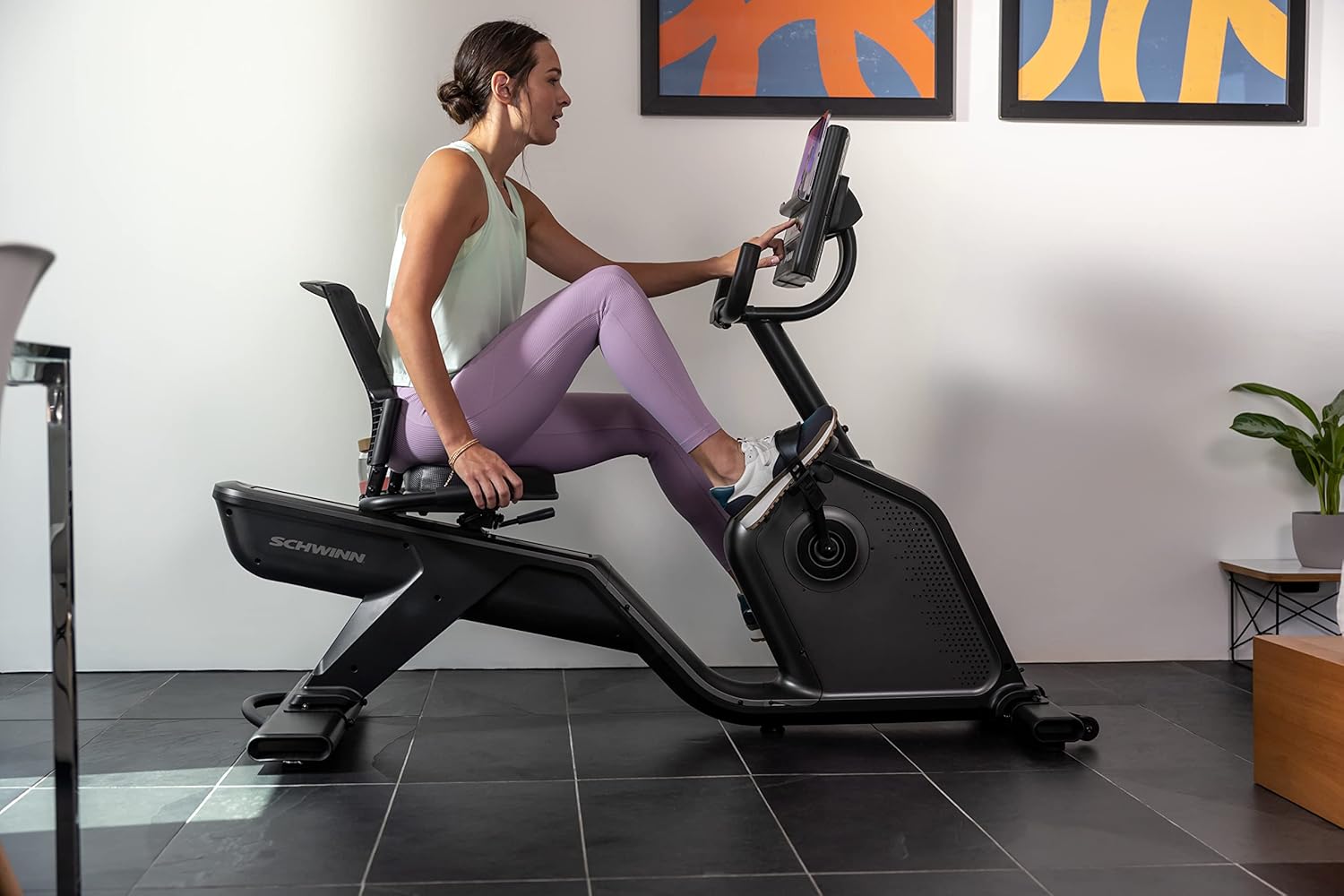 Schwinn Fitness Recumbent Bike Series - $480