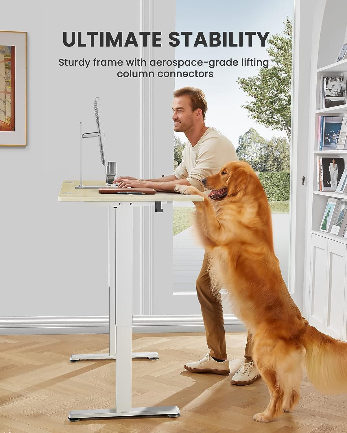 ErGear Height Adjustable Electric Standing Desk, 55 x 28 Inches - $140