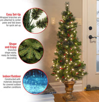 National Tree Company 5 ft. Crestwood Spruce Entrance Artificial Christmas Tree - $80
