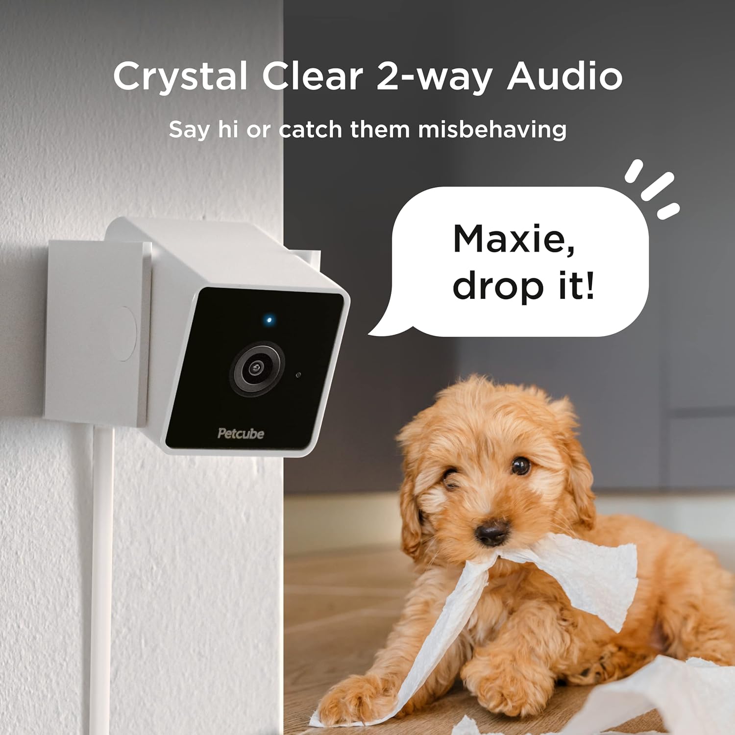 Petcube Cam Indoor Wi-Fi Pet and Security Camera with Phone App - $30