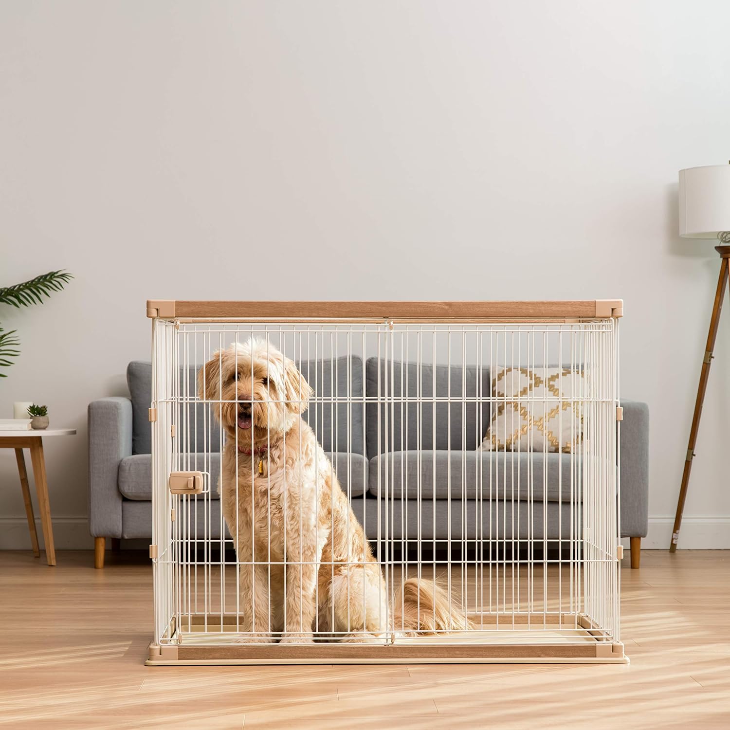 Extra tall dog crate hotsell