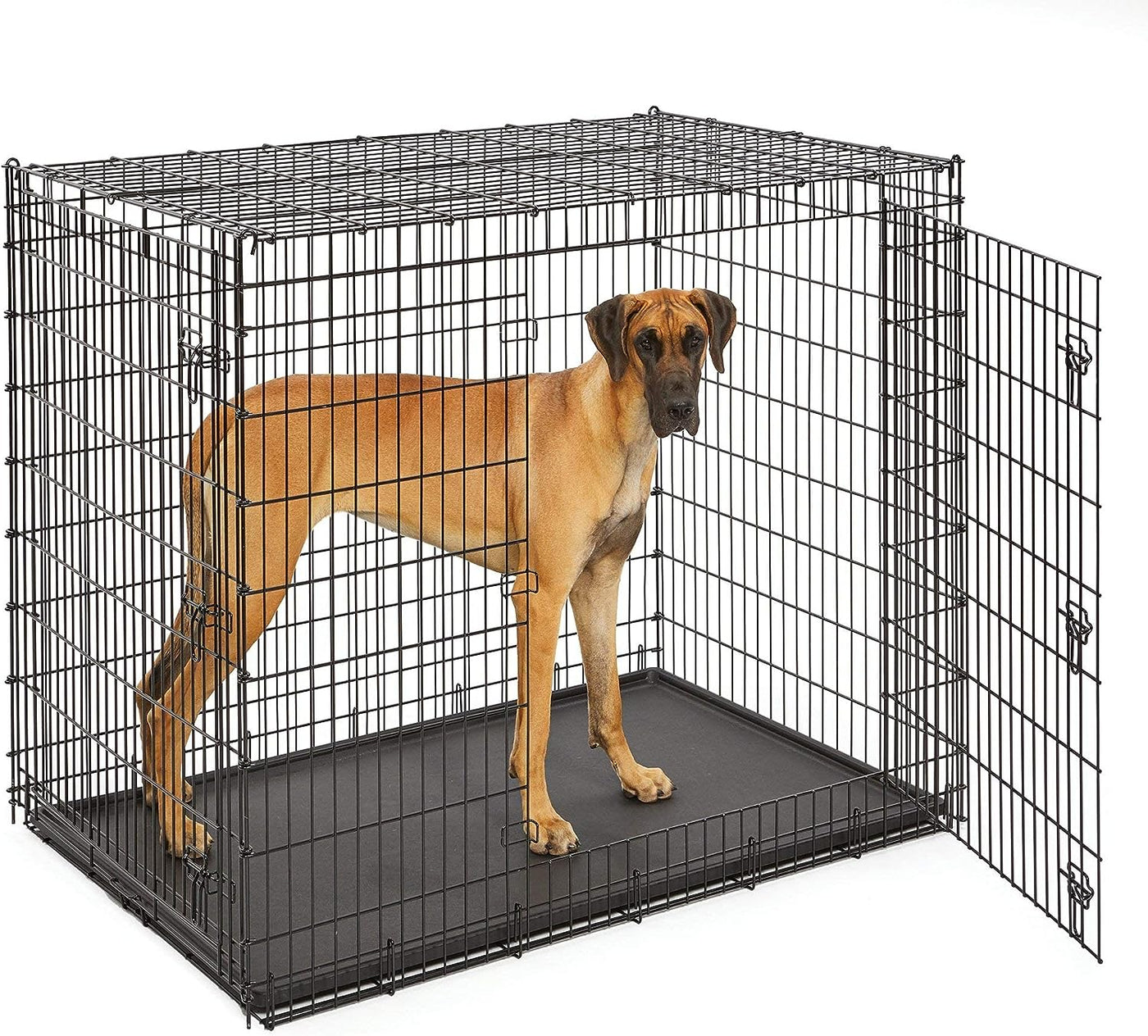 Midwest Homes for Pets SL54DD Ginormus Double Door Dog Crate for XXL - $135