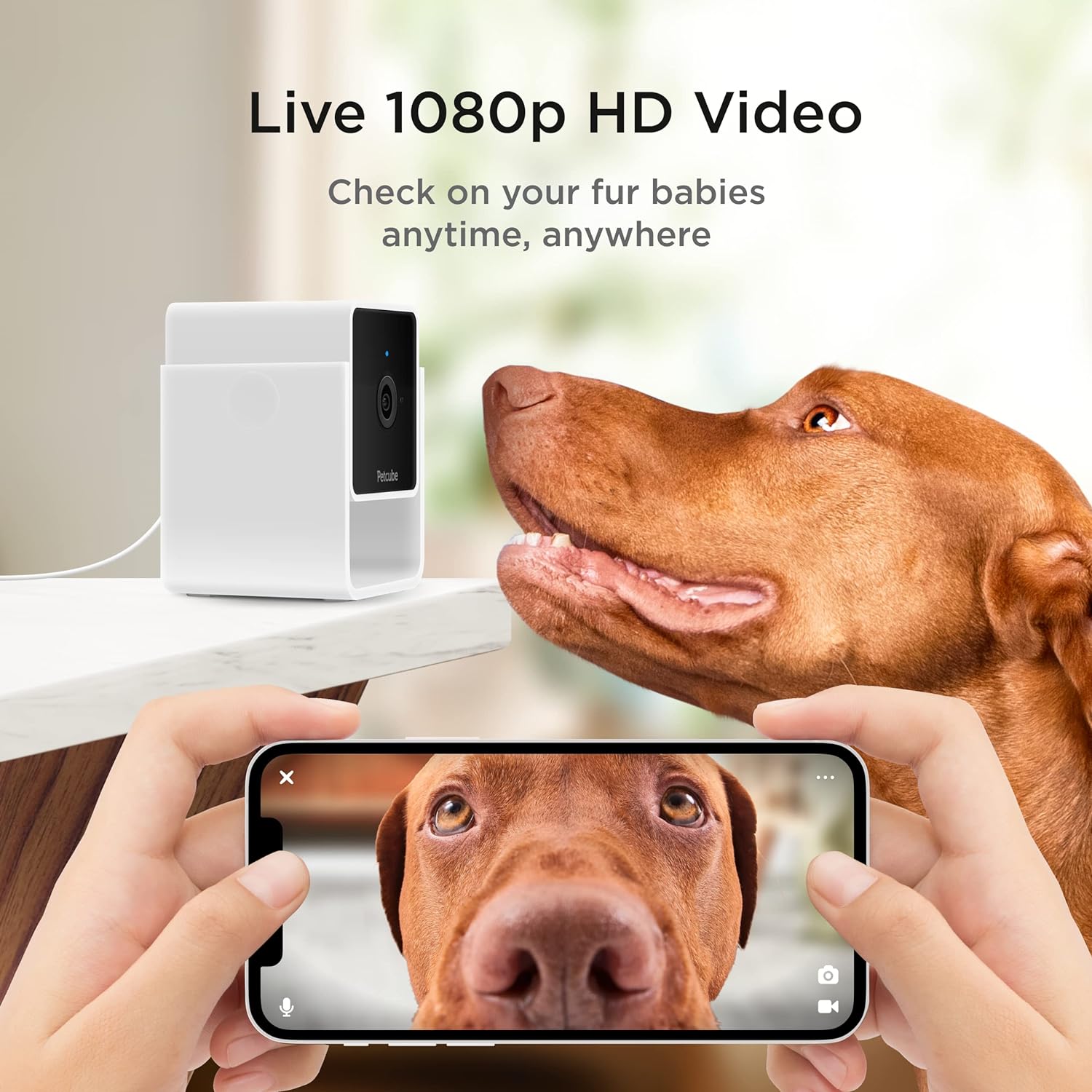 Petcube Cam Indoor Wi-Fi Pet and Security Camera with Phone App - $30