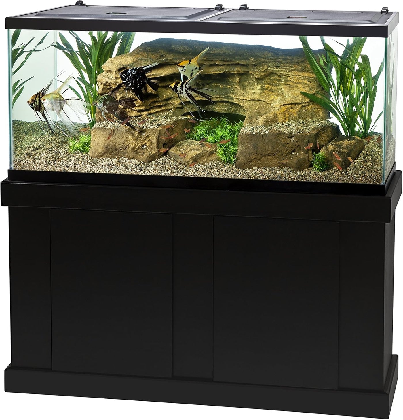 Tetra 55 Gallon Aquarium Kit with Fish Tank, Fish Net, Fish Food, Filter, Heater - $250