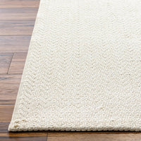 Livabliss x Becki Owens Birdie Neutral Outdoor Area Rug, 5'1" x 7', Light Silver - $80