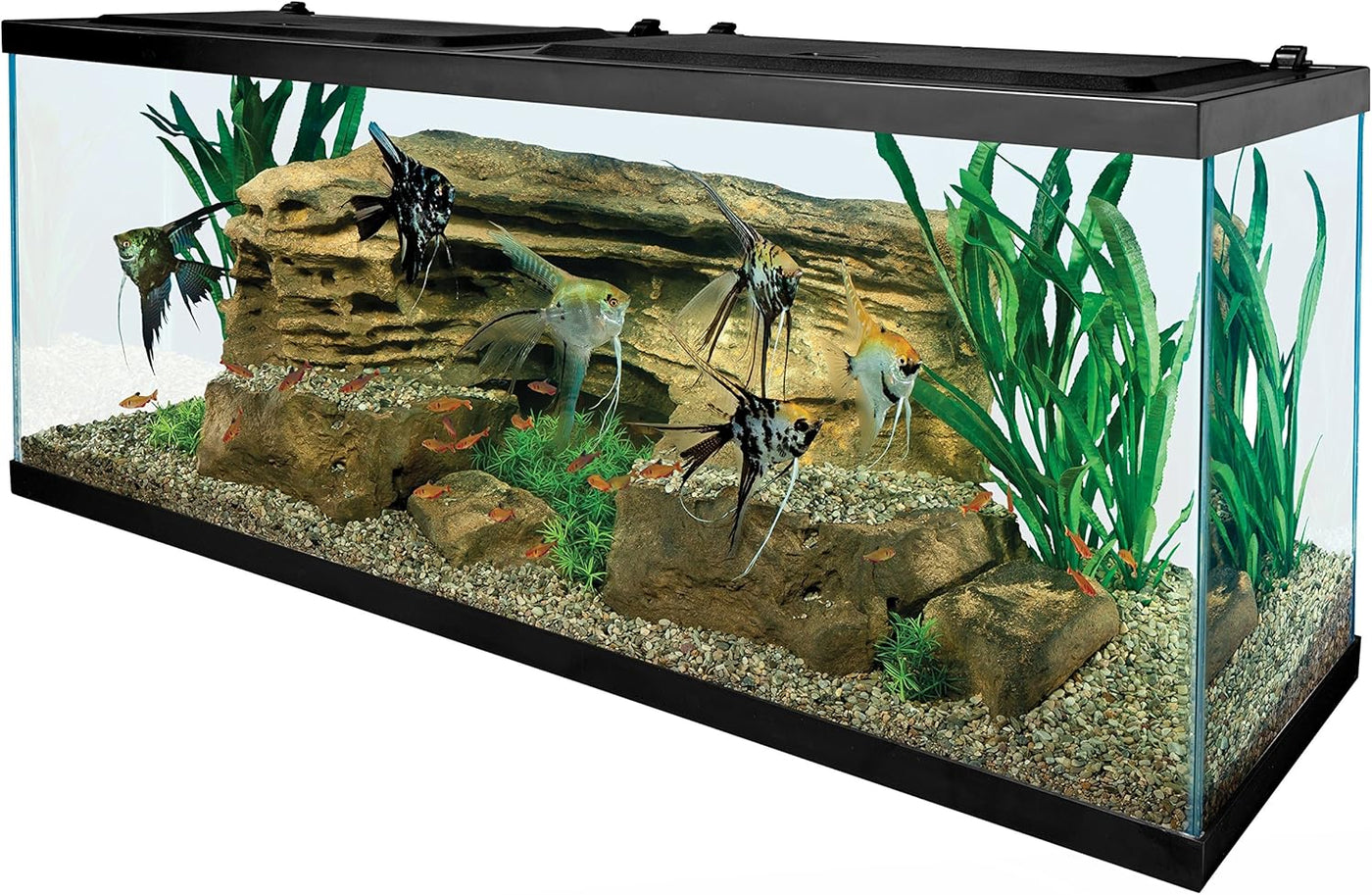 Tetra 55 Gallon Aquarium Kit with Fish Tank, Fish Net, Fish Food, Filter, Heater - $250