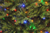 National Tree Company Pre-Lit Artificial Full Christmas Tree, Green, 9 Feet - $260