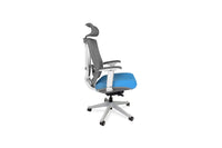 Ergonomic Office Chair - $300