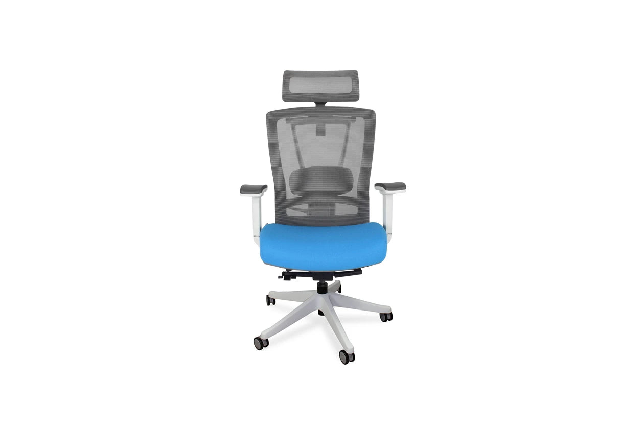 Ergonomic Office Chair - $300 · DISCOUNT BROS