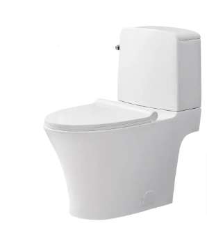 Glacier Bay Ranier 2-piece 1.1/1.6 GPF Dual Flush Elongated Toilet in White Seat - $130