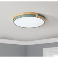 aiwen 16.5 in. 1-Light Smart Circle 25-Watt LED Flush Mount Ceiling Light - $40