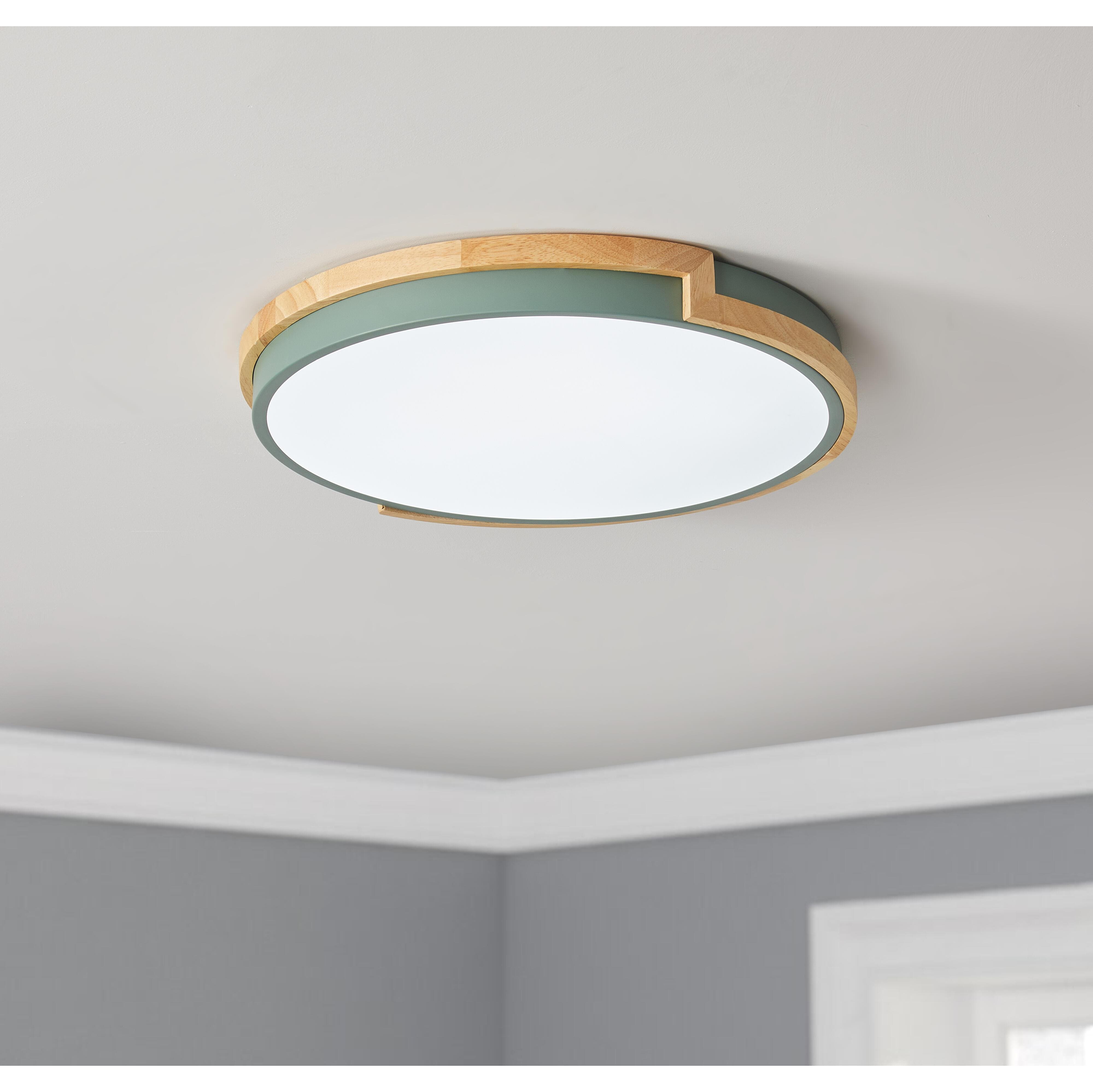 aiwen 16.5 in. 1-Light Smart Circle 25-Watt LED Flush Mount Ceiling Light - $40