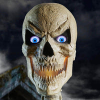 Home Accents Holiday Standard Skelly Scary Head - $60