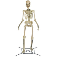 Home Accents Holiday Standard Skelly Scary Head - $60