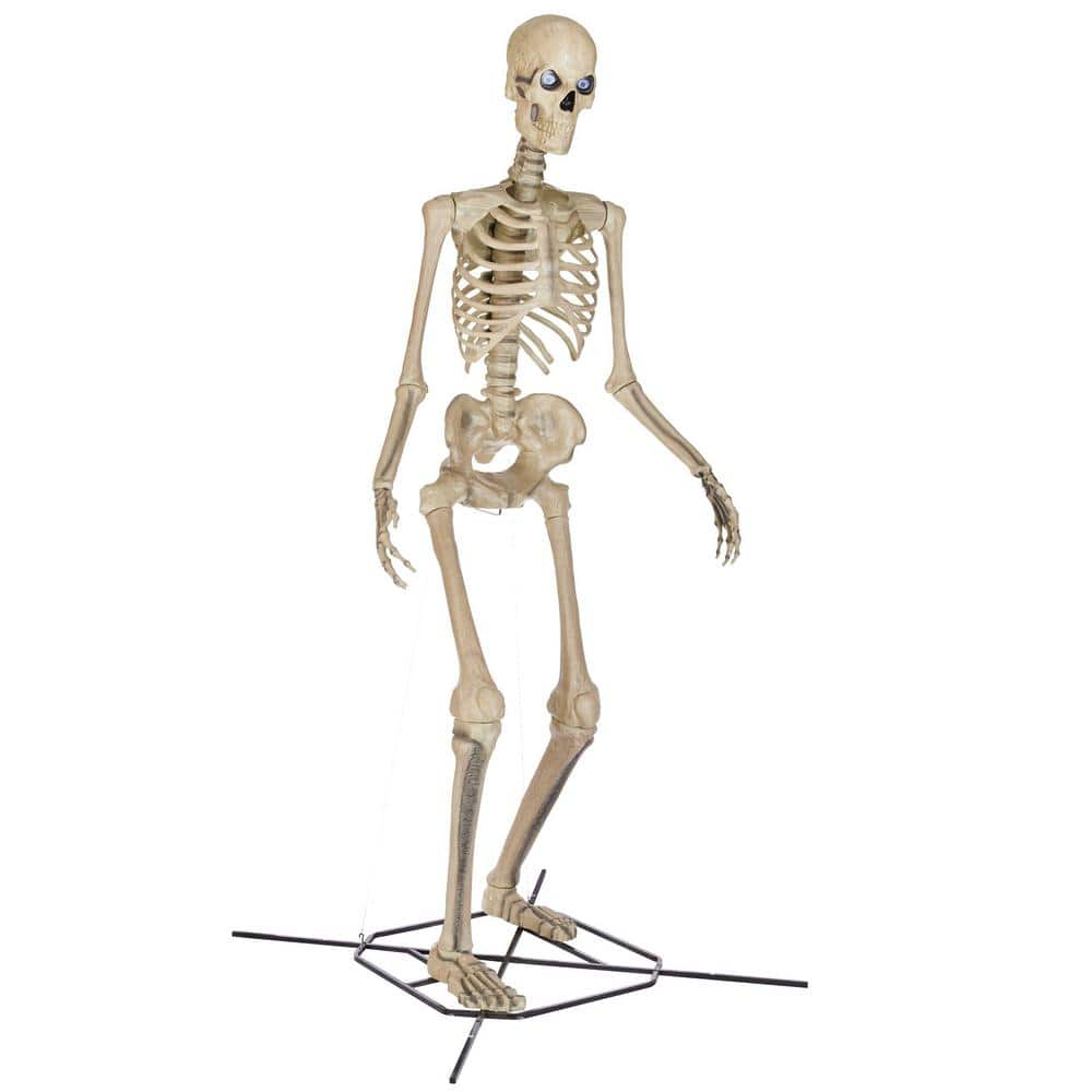 Home Accents Holiday 12 ft. Giant-Sized Skelly - $500