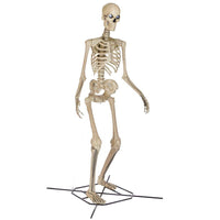 Home Accents Holiday 12 ft. Giant-Sized Skelly - $500