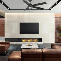 Driskol 60 in. White Color Changing LED Matte Black Smart Ceiling Fan w/ Light Kit - $120
