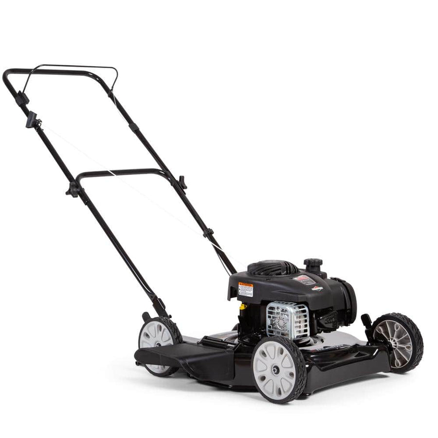 Murray 20 in. 125 cc Briggs & Stratton Walk Behind Gas Push Lawn Mower - $195