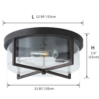 aiwen 11.8 in. 2-Light Flush Mount Ceiling Light Fixture with Seeded Glass Shade - $35