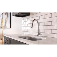 Brislin 1-Handle Pull-Down Kitchen Faucet, GT529-BIC, Chrome - $100