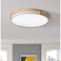 16.5 in. 1-Light Modern Minimalist Circle 25Watt LED Flush Mount Ceiling Light - $45