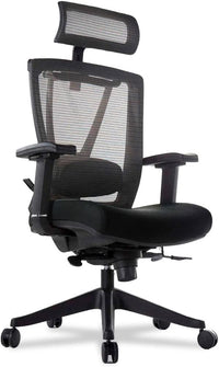 Ashley Furniture Autonomous Premium Ergonomic Office Chair - $250