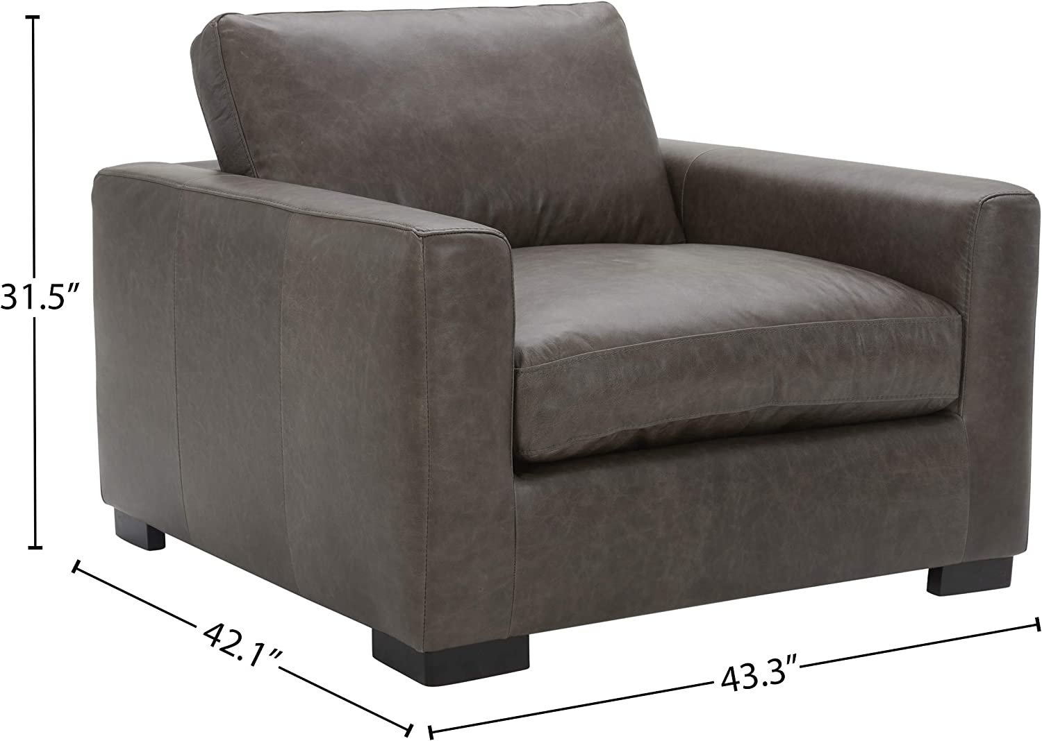 Stone & Beam Westview Extra-Deep Down-Filled Leather Accent Chair, 43.3"W, Dark Grey - $550