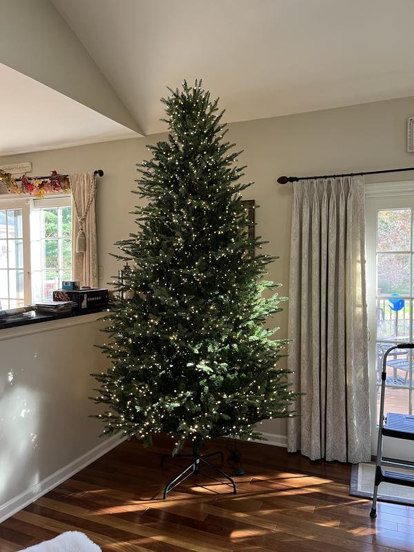 Home Decorators Collection 9 ft Grand Duchess Balsam Fir - $950