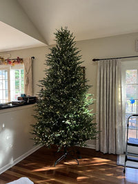 Home Decorators Collection 9 ft Grand Duchess Balsam Fir - $950