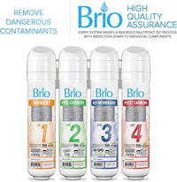 Brio Commercial Grade Bottleless Ultra Safe Reverse Osmosis Water Cooler(DOES NOT USE JUGS)  - $140
