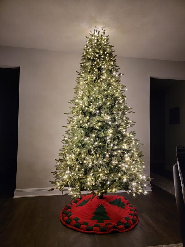 Home Accents Holiday 7.5 ft Jackson Noble Christmas Tree - $179