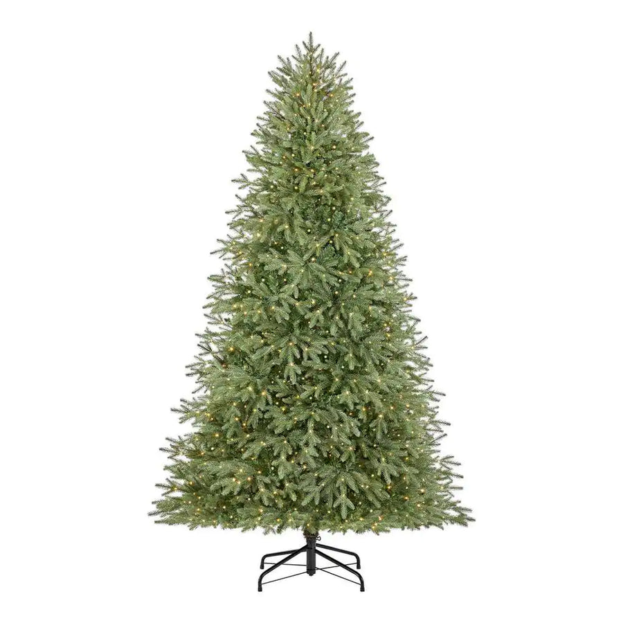 Home Accents Holiday 7.5 ft Jackson Noble Christmas Tree - $179