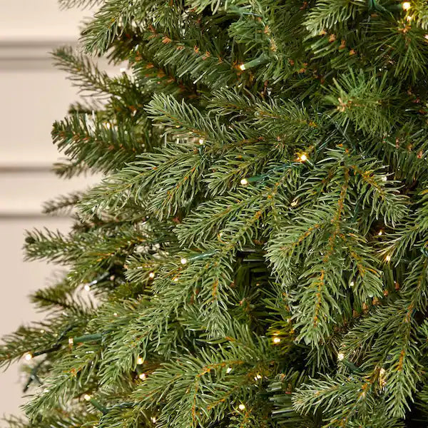 Home Decorators Collection 7.5 ft Grand Duchess Balsam Fir Christmas Tree - $650