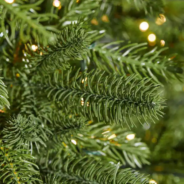 Home Decorators Collection 7.5 ft Grand Duchess Balsam Fir Christmas Tree - $650