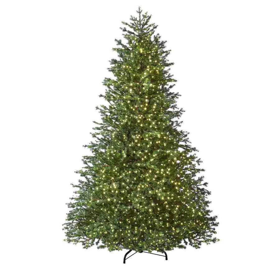 Home Decorators Collection 7.5 ft Elegant Grand Fir LED Pre-Lit Artificial Christmas Tree - $245