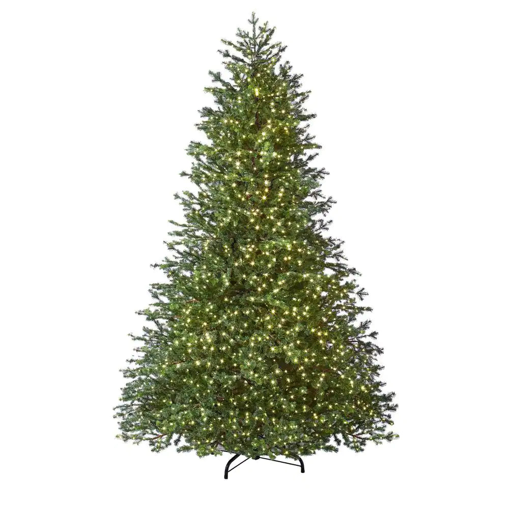 Home Decorators Collection 9 ft Elegant Grand Fir LED Pre-Lit Artificial Christmas Tree - $300