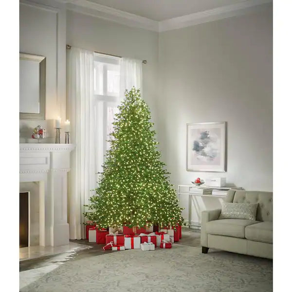 Home Decorators Collection 9 ft Elegant Grand Fir LED Pre-Lit Artificial Christmas Tree - $300
