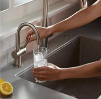 InSinkErator Indulge Modern Series 1- Handle 9.25 in. Faucet - $195