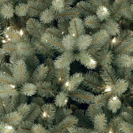 National Tree Company 6-1/2 ft. Feel Real Downswept Douglas Blue Fir Hinged Tree with 650 Clear Lights Discount Bros, LLC.